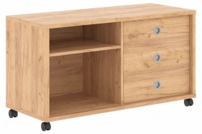 Тумба комбинированная Born B 202A в Тавде - tavda.mebel24.online | фото