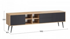 Тумба под ТВ Тип 5 в Тавде - tavda.mebel24.online | фото 6