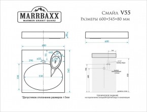 Умывальник над стиральной машиной (600*545*80) Смайл V55D1 (белый) с кронштейном без сифона (V55D1) в Тавде - tavda.mebel24.online | фото 2