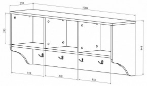 Вешалка-полка ДримСтар ДС-30 в Тавде - tavda.mebel24.online | фото 2